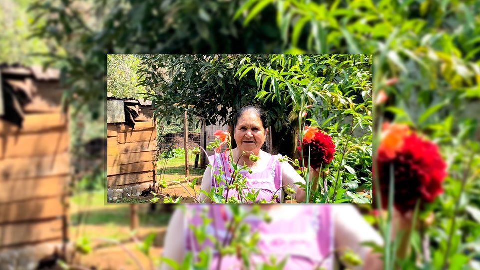 Ellas son las mujeres cocineras más poderosas de México