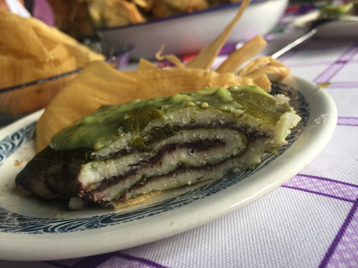 ¡Son cientos! Te presentamos algunos tamales de las regiones de México