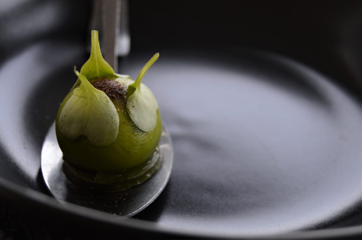 La comida y vinos de otoño en las alturas del Balcón del Zócalo