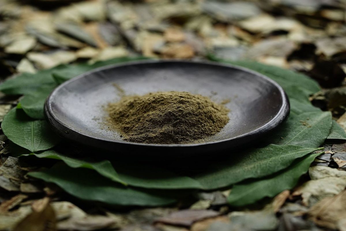 Mambe: una tradición gastronómica del Amazonas ¡¿con hojas de coca?!