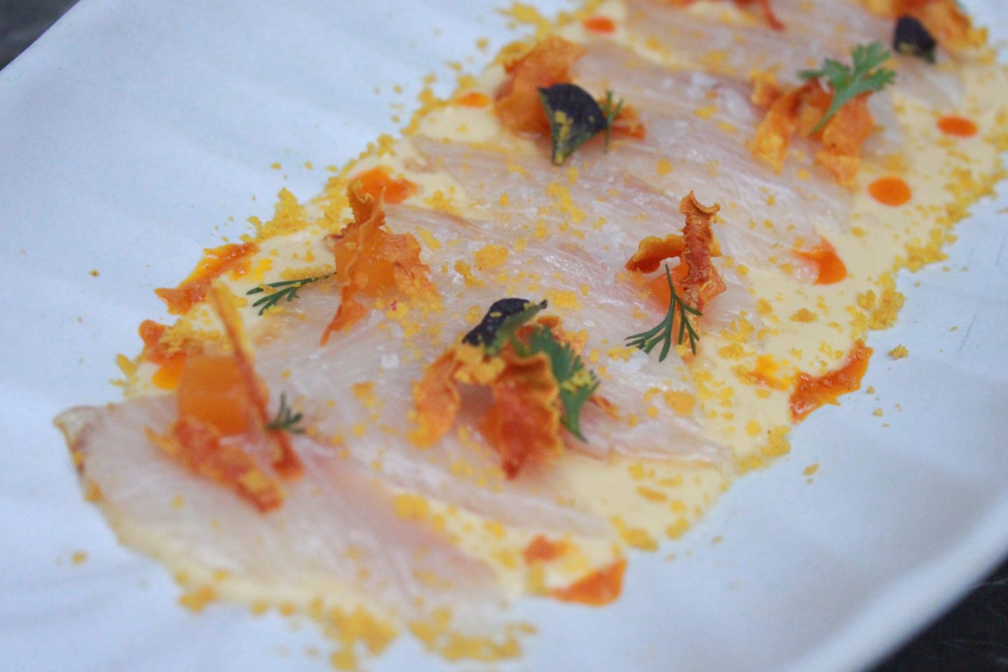 King kampachi y otros pescados que te conviene conocer y probar