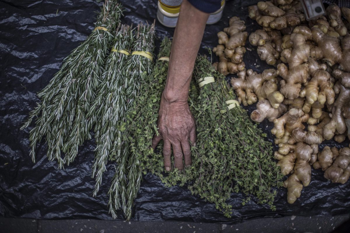 Los yerberos, sus secretos gastronómicos e infusiones