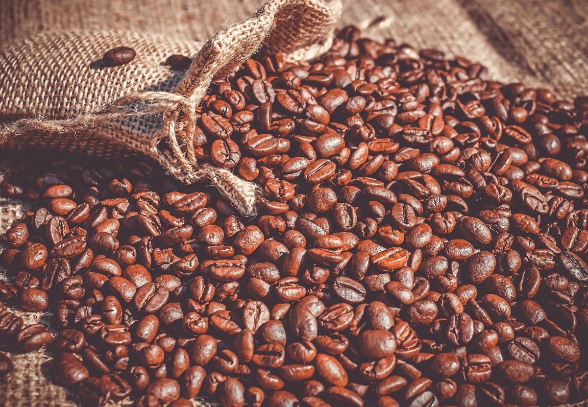 Día Internacional del Café: 10 datos para conocer el grano mexicano