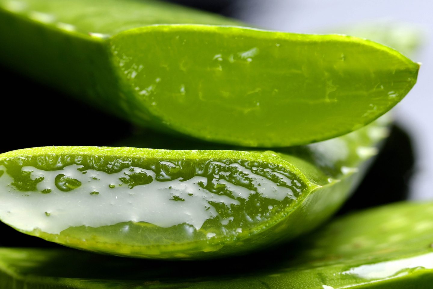 Anímate a usar aloe vera en la cocina y conoce sus beneficios