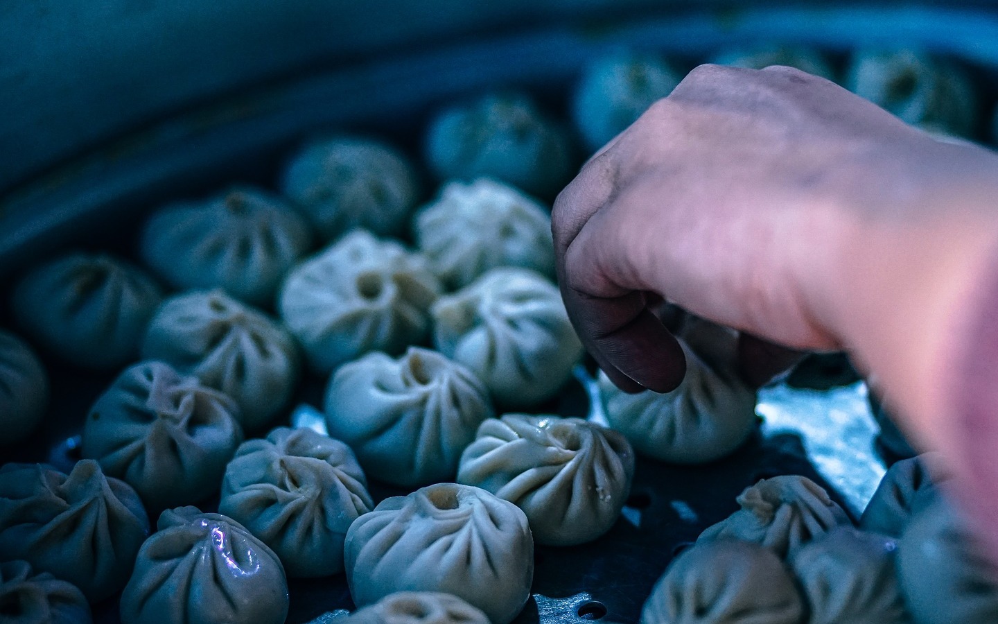 El origen de los dumplings, sus variedades y una receta