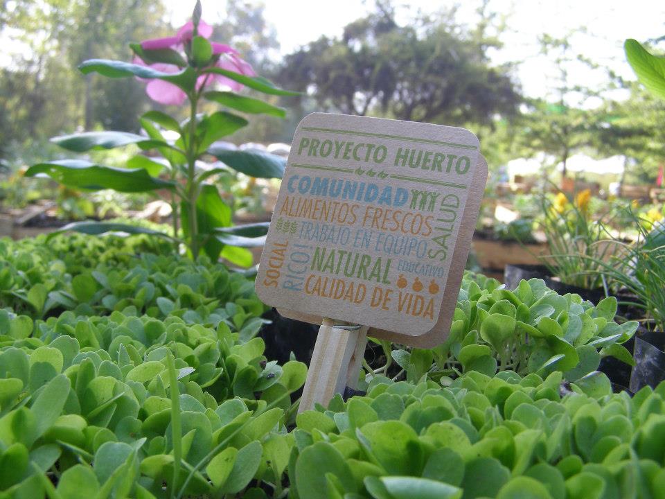 Huertos urbanos, una nueva forma de alimentación en las ciudades es posible