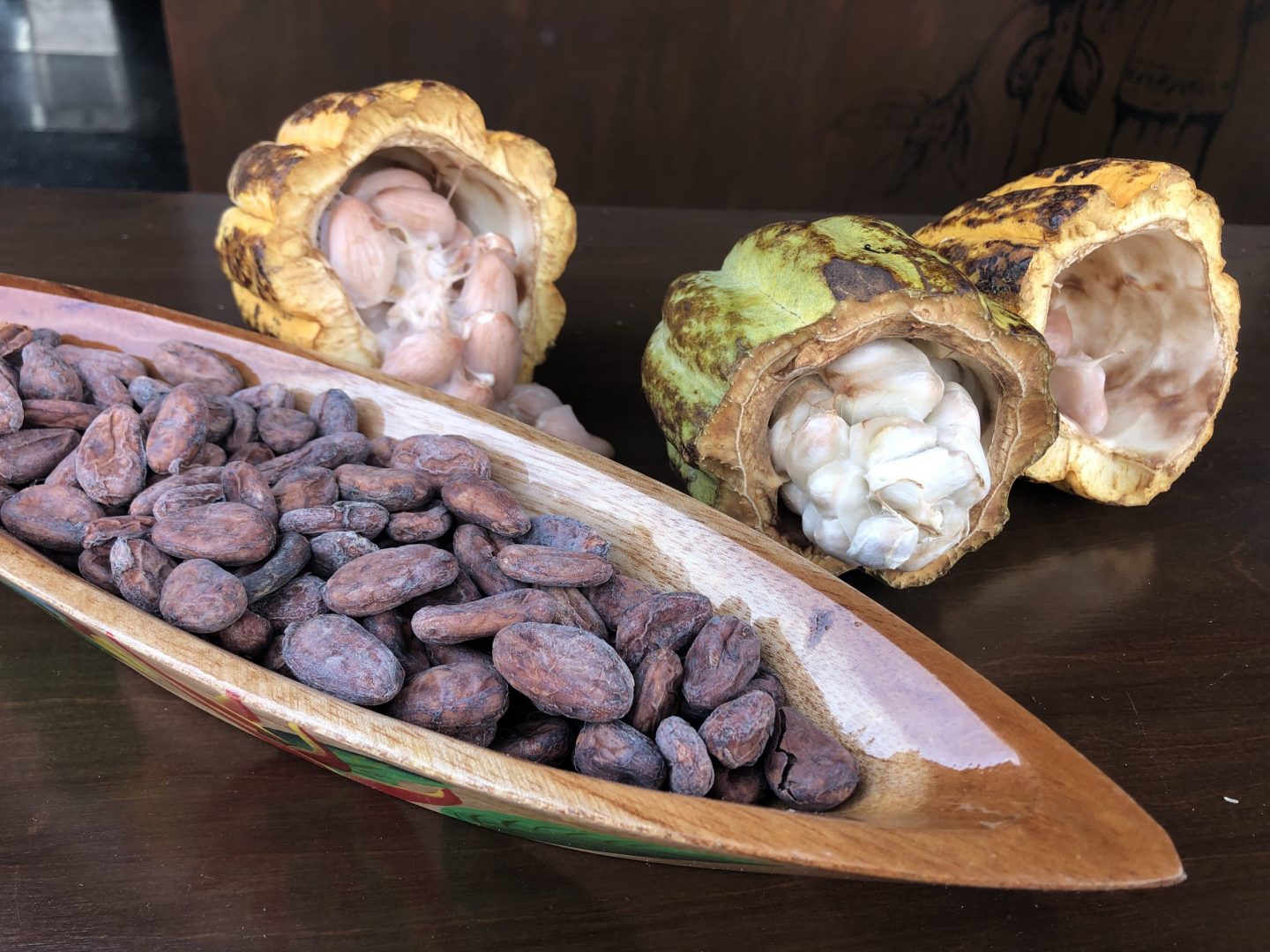 El cacao maya, sus guardianes y el impulso al chocolate mexicano