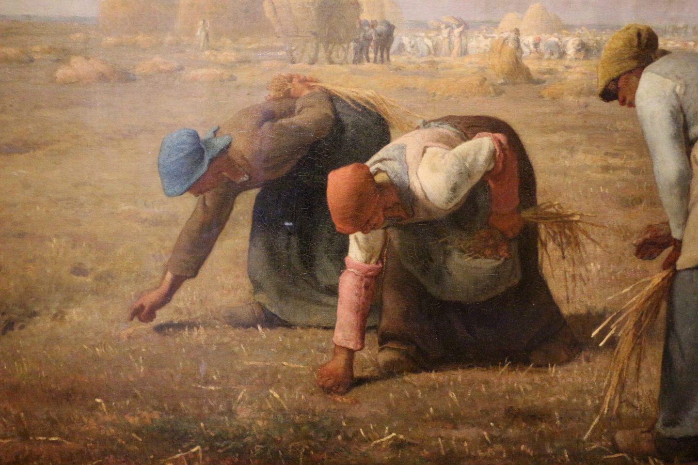 Los espigadores modernos: recolectores de desperdicios de alimentos