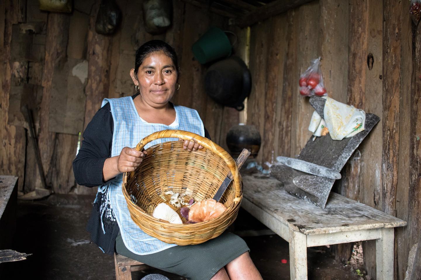 Turismo gastronómico y rural en comunidades indígenas de México