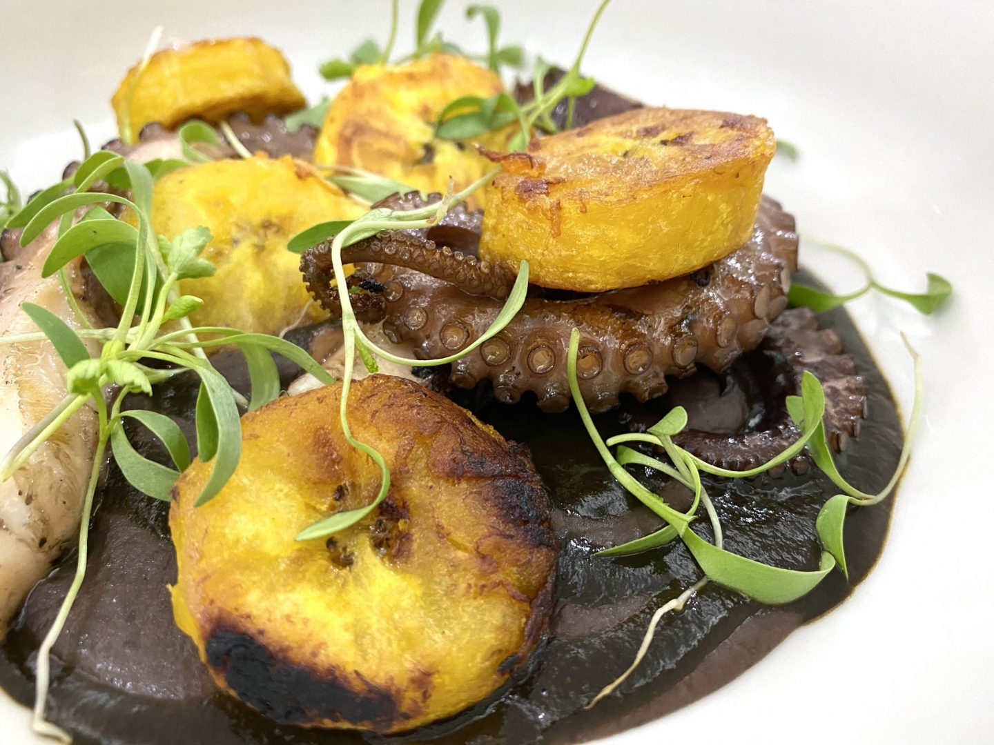 Cuna, el restaurante del chef Maycoll Calderón en Mérida