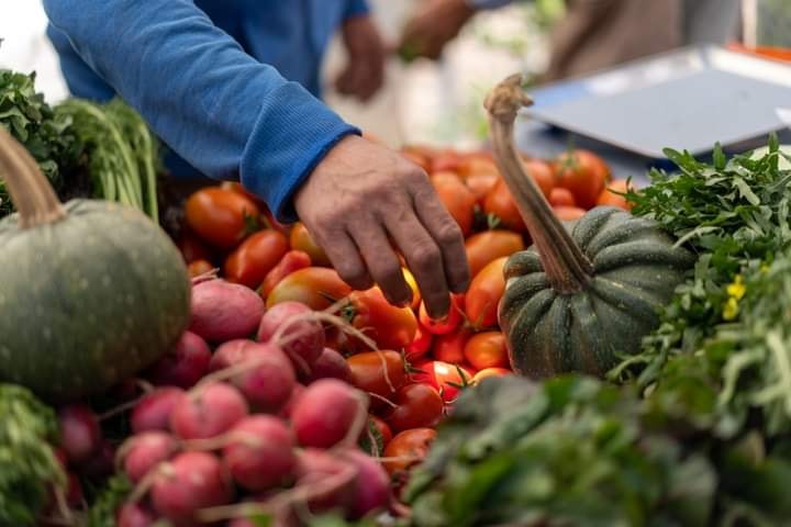 Mercado de Productores, un puente entre el campo y la ciudad