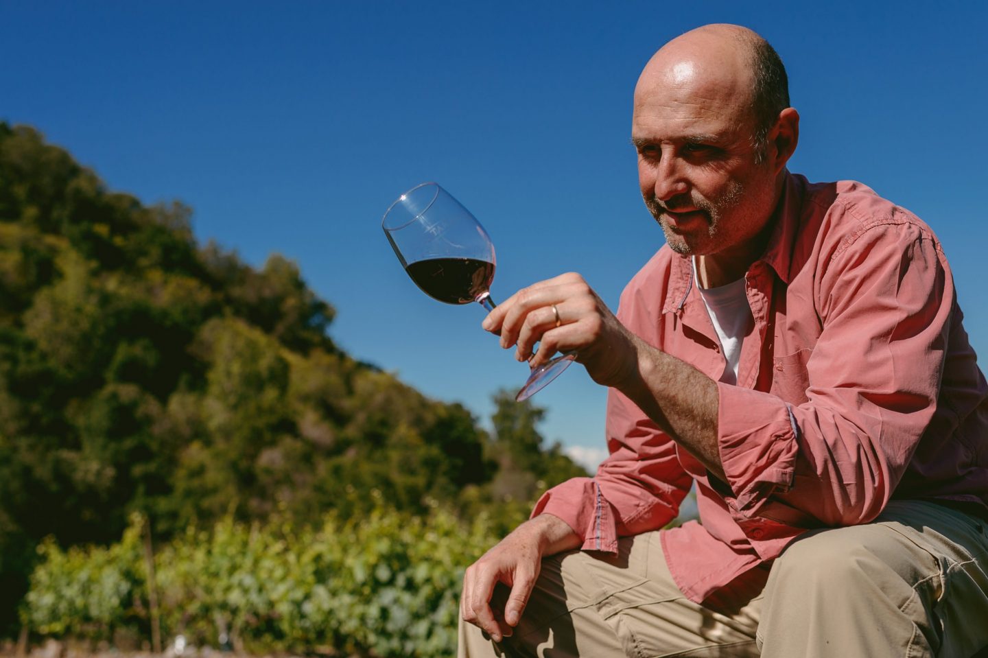 Los vinos chilenos y su tierra fértil