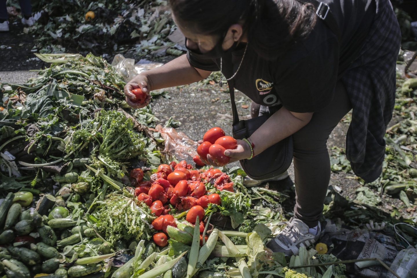 Basura para unos, comida para otros: los desechos de la Central de Abasto