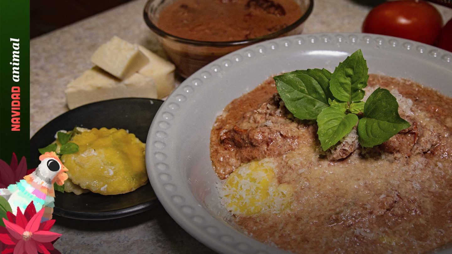 Receta de ravioles caseros con queso ricotta y salsa de jitomate
