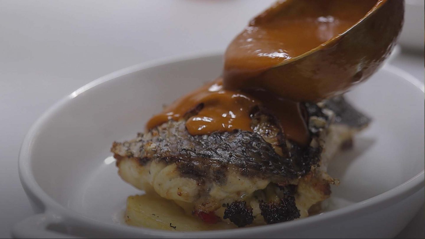 Totoaba: aunque no lo creas, un pescado legal y muy mexicano