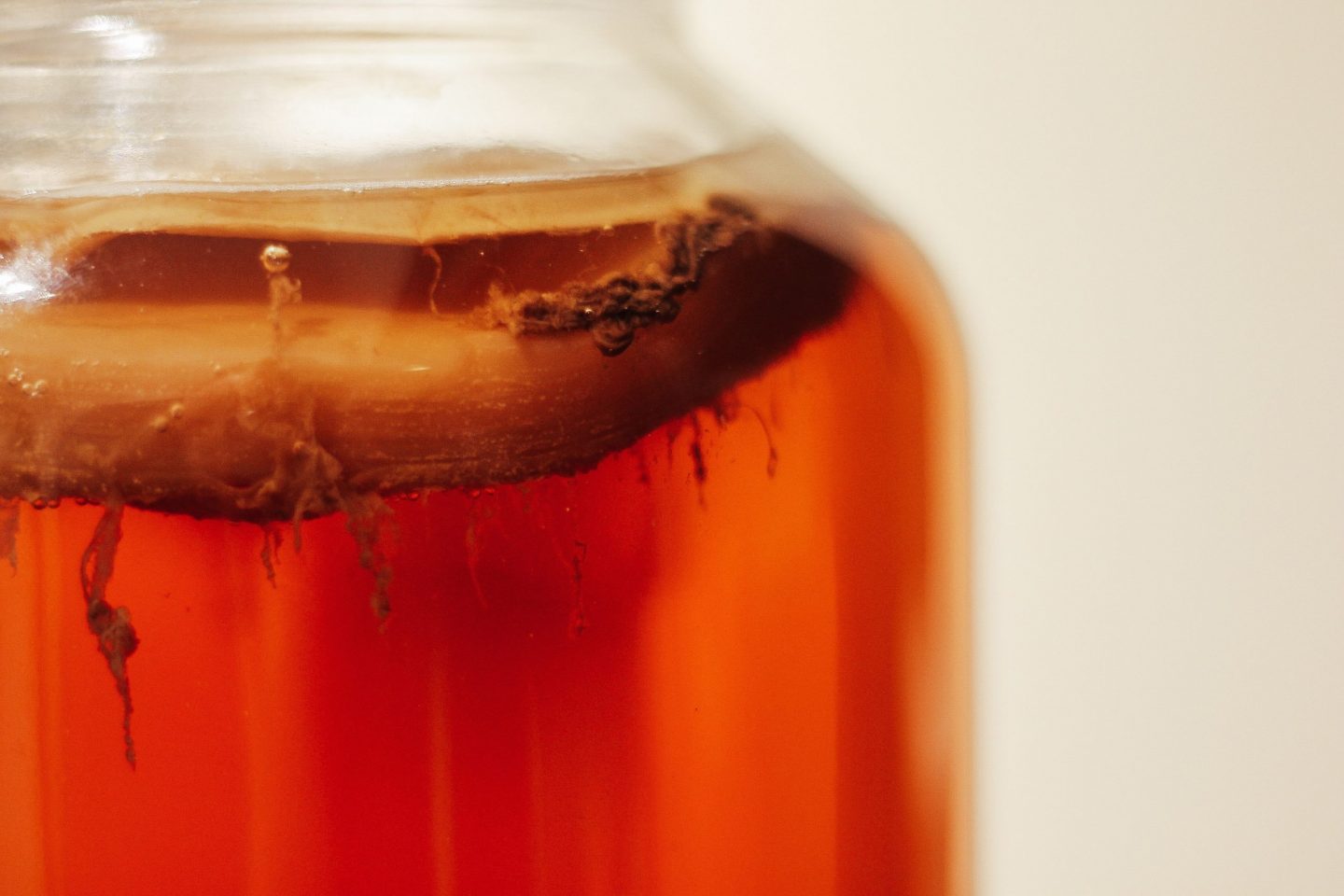 Desarrollan proyecto para hacer kombucha comestible
