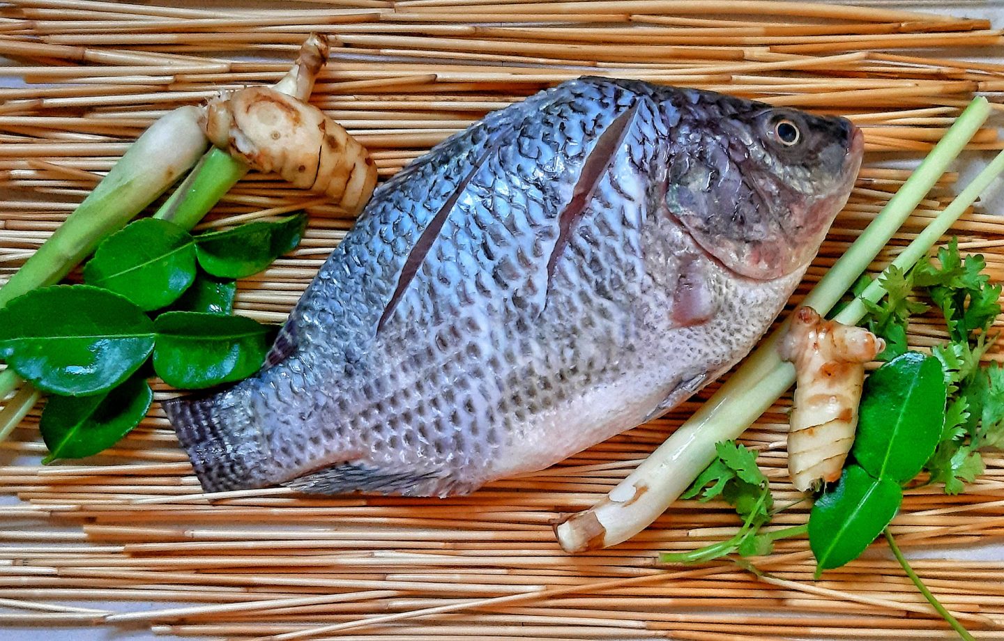 Los beneficios de comer mojarra de cultivo