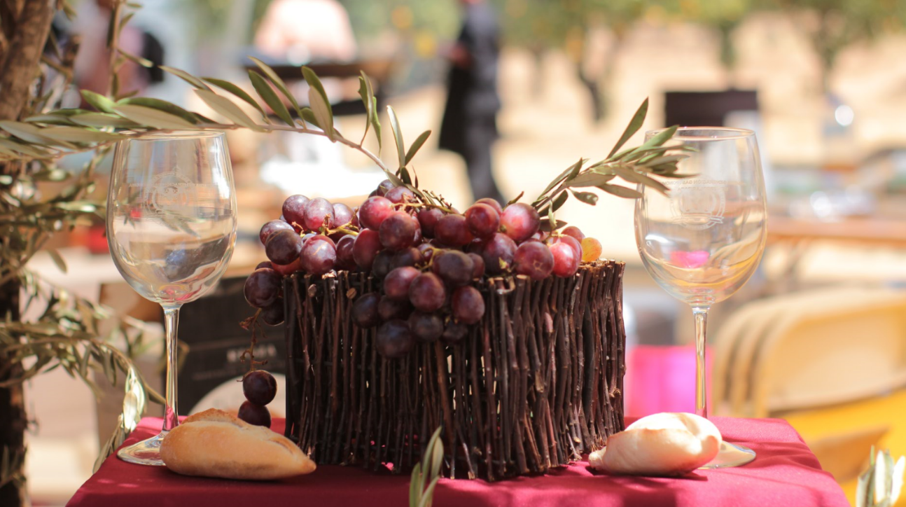 Los vinos mexicanos ganadores en Bacchus 2021