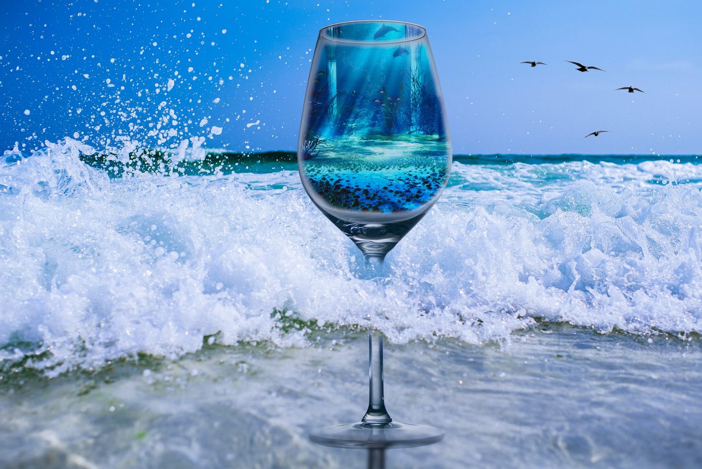 Conoce los vinos que se añejan en el fondo del mar