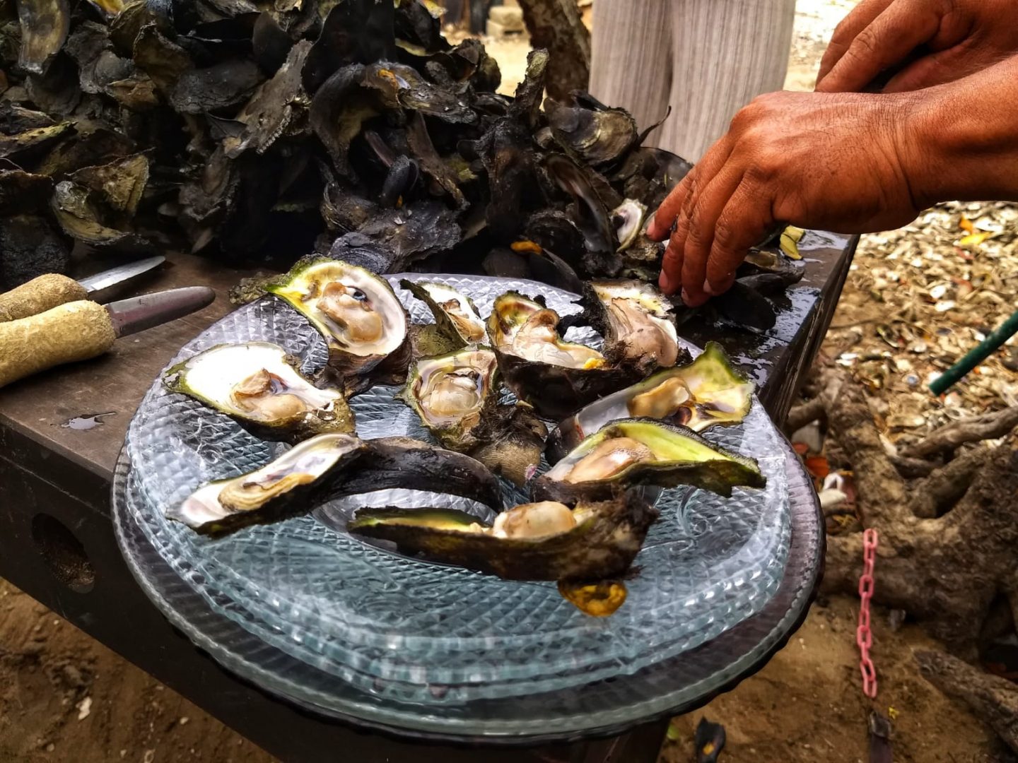 Ostiones al tapesco: la delicia tabasqueña hecha de sal, humo y madera