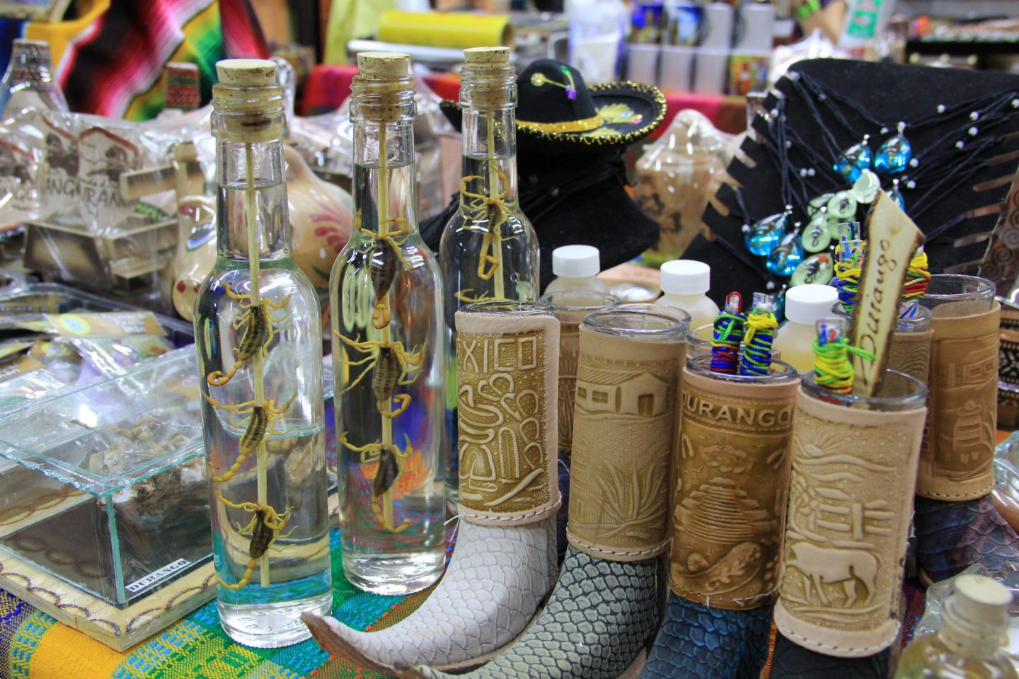 Durango: tierra donde los alacranes se comen… y están en todos lados