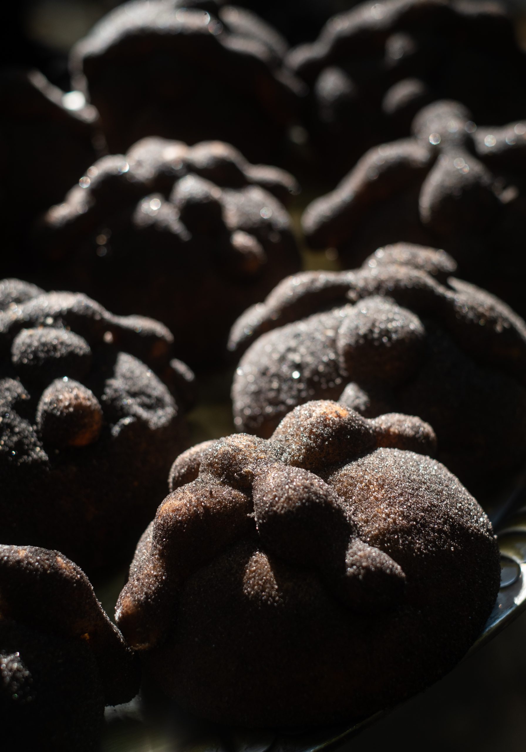 El pan de muerto negro que revolucionó la temporada