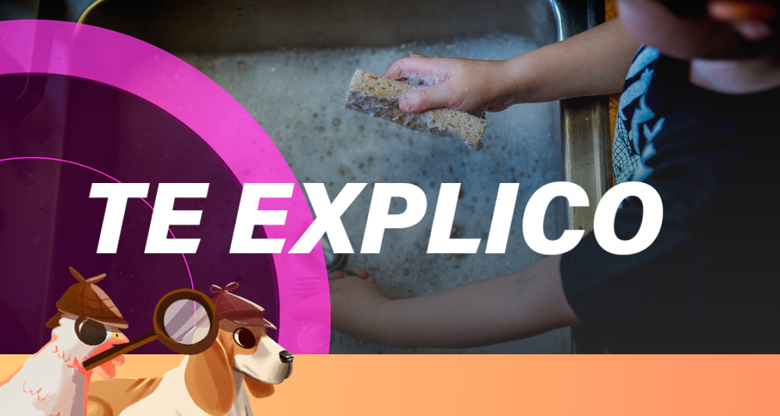 #SabuesoGourmet: Las esponjas para lavar trastes, ¿son lo más sucio de tu cocina?