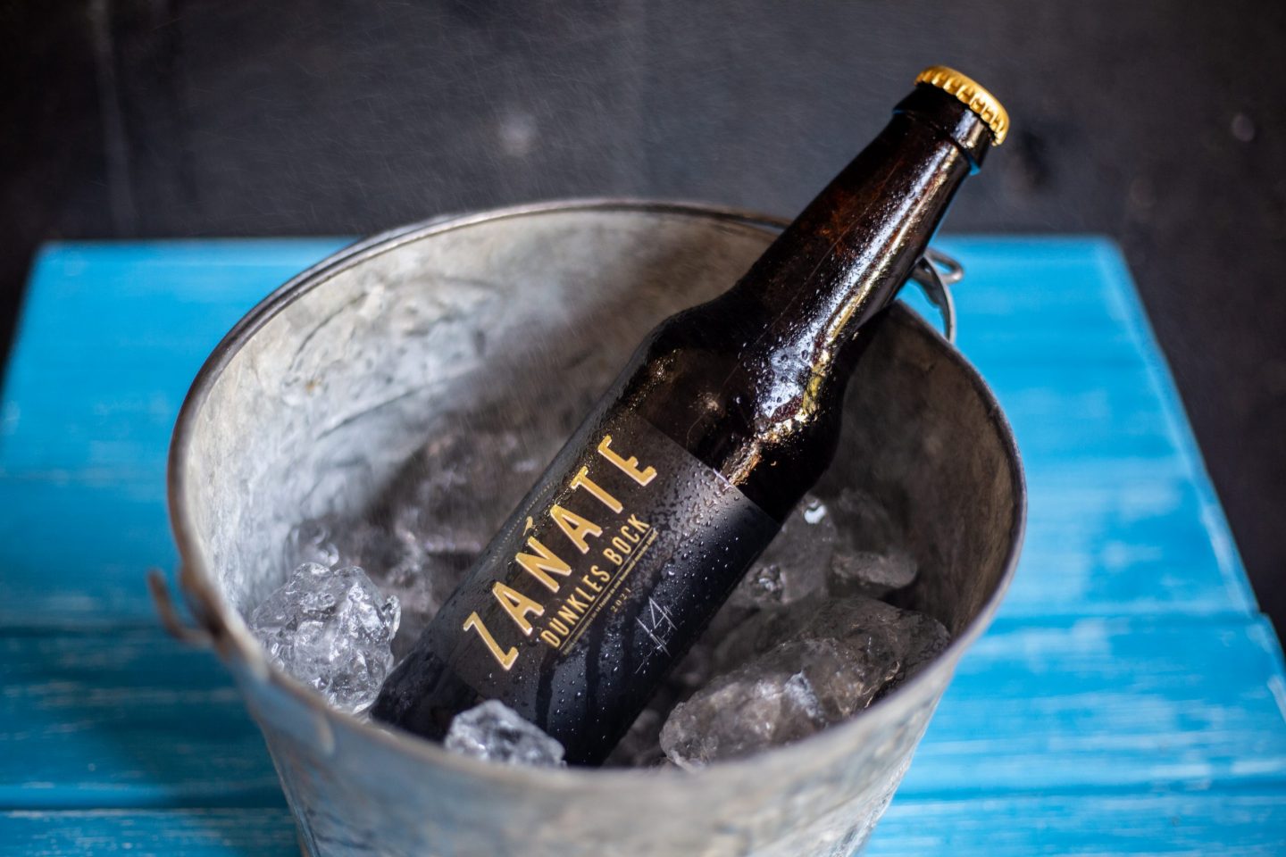 zanate festival de cine