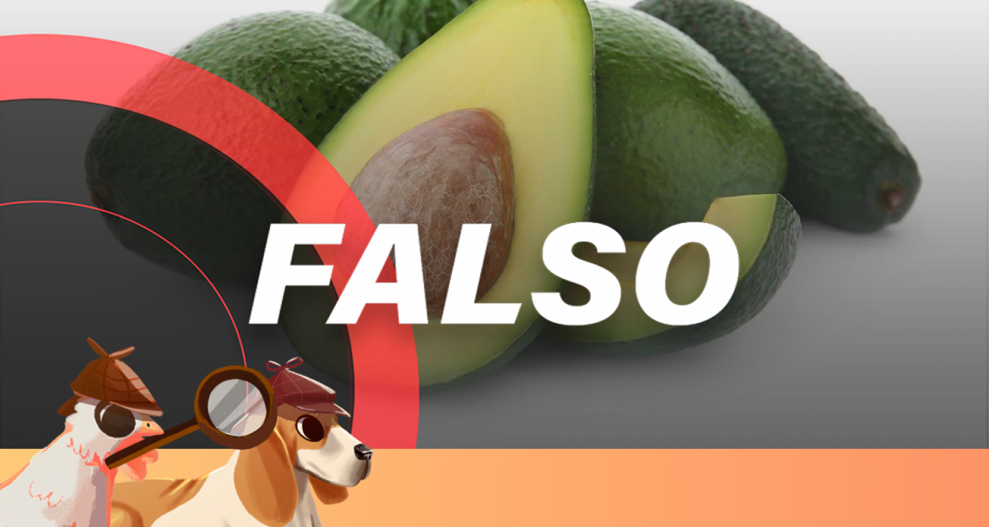 #SabuesoGourmet: ¿Hace daño comer aguacate si estás enojado?