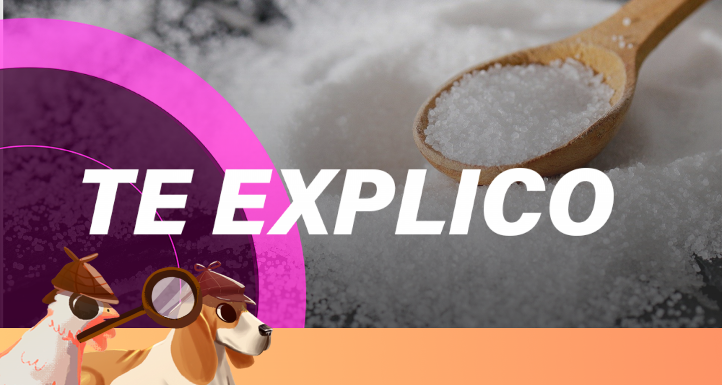 #SabuesoGourmet: ¿Es mejor la sal de grano que la de mesa?