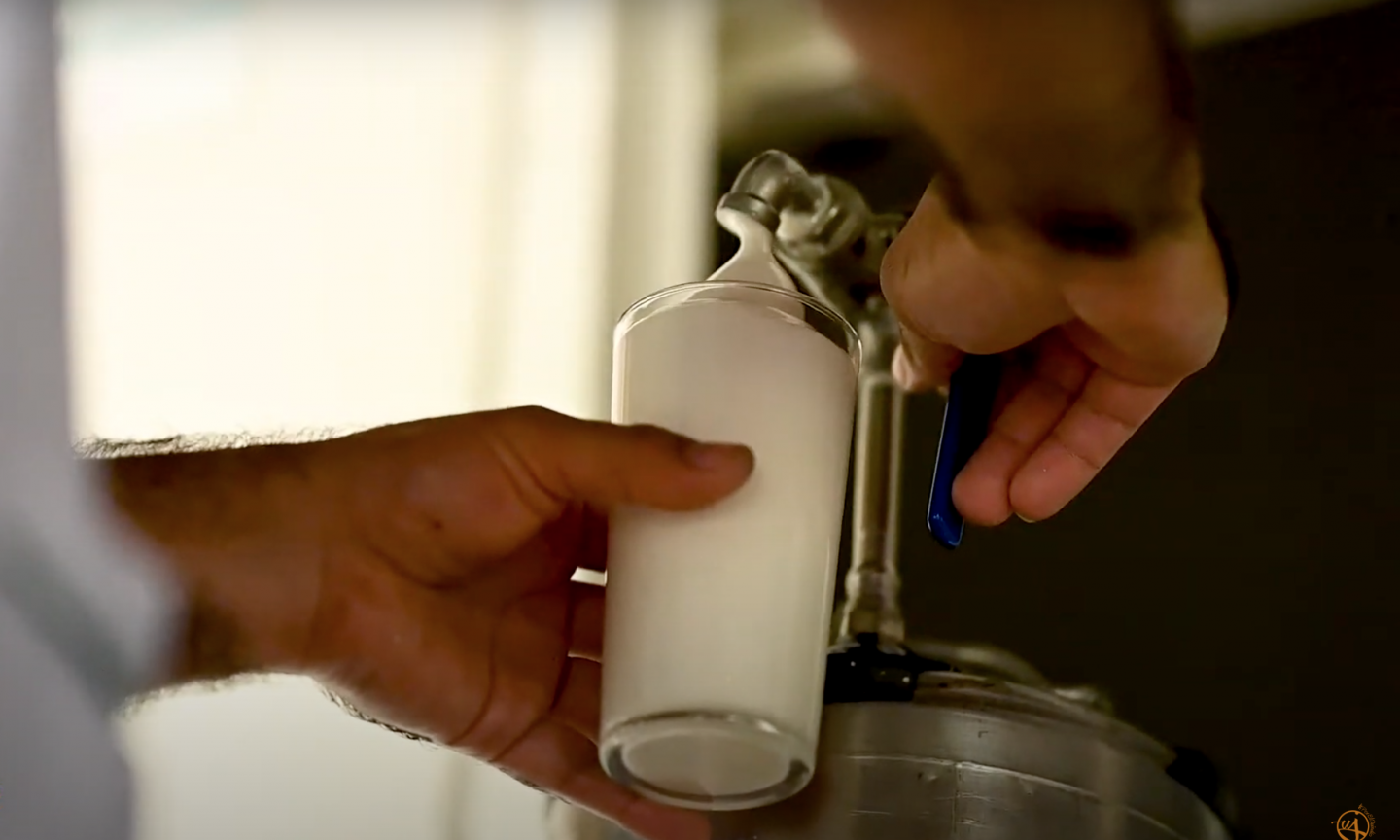 forcha bebida colombiana