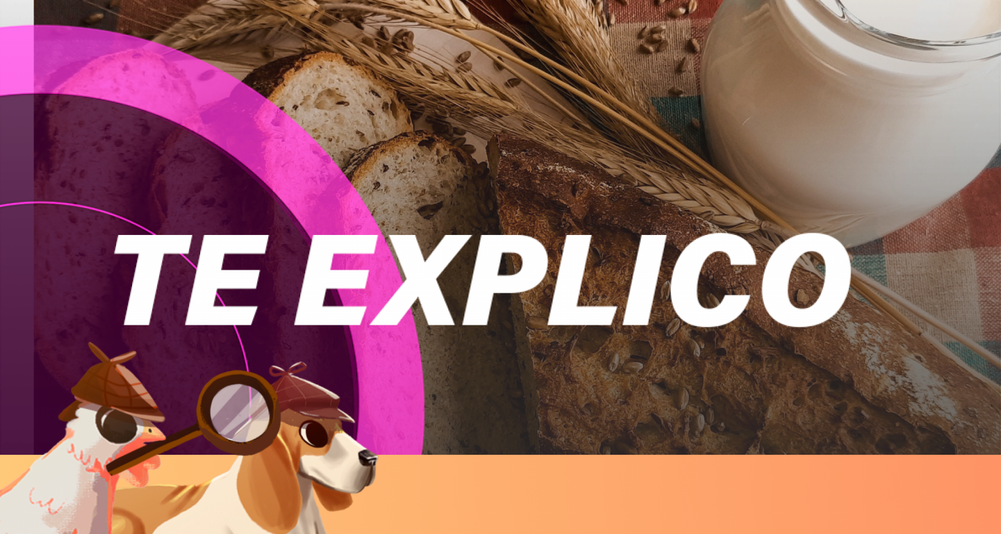 #SabuesoGourmet: no es intolerancia al gluten, solo debes elegir mejor el pan que comes