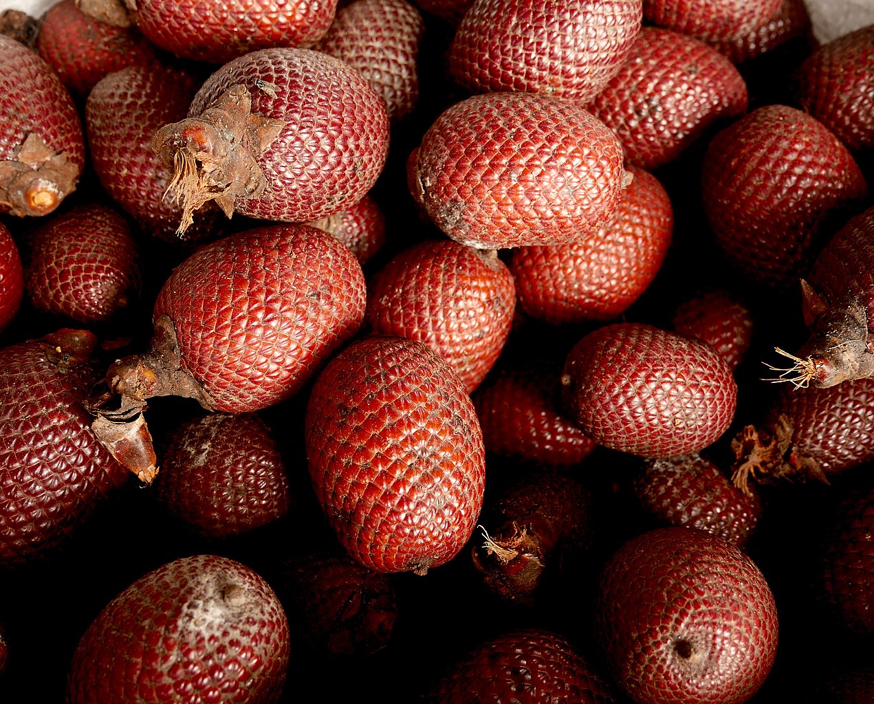 Qué es el aguaje y qué propiedades se le atribuyen