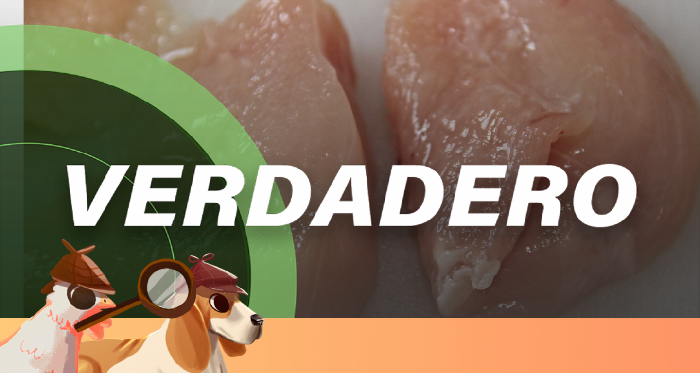 #SabuesoGourmet: ¡No! ¡El pollo crudo y el huevo no se deben lavar!