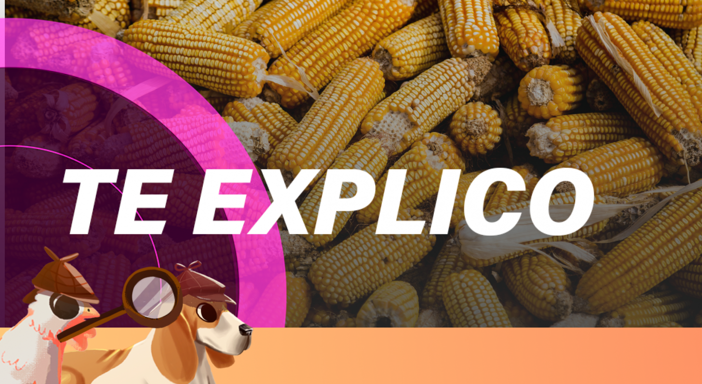 invasion rusia ucrania alimentos