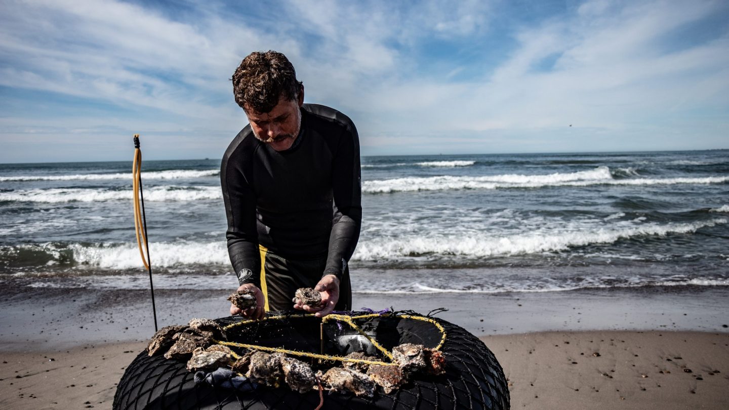 Los ostioneros de Celestino Gasca y la pesca artesanal en el Océano Pacífico