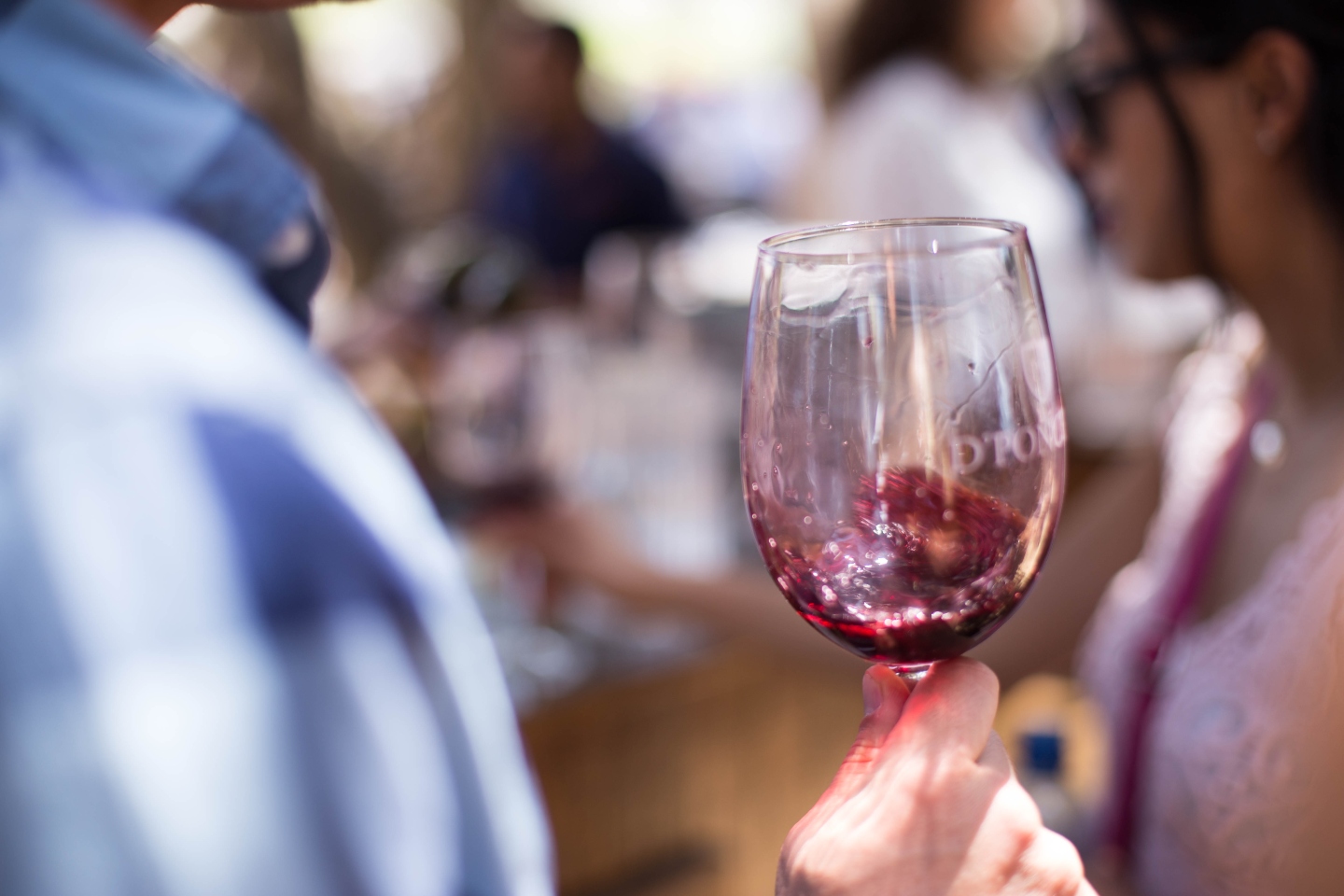 Festival conchas vino nuevo