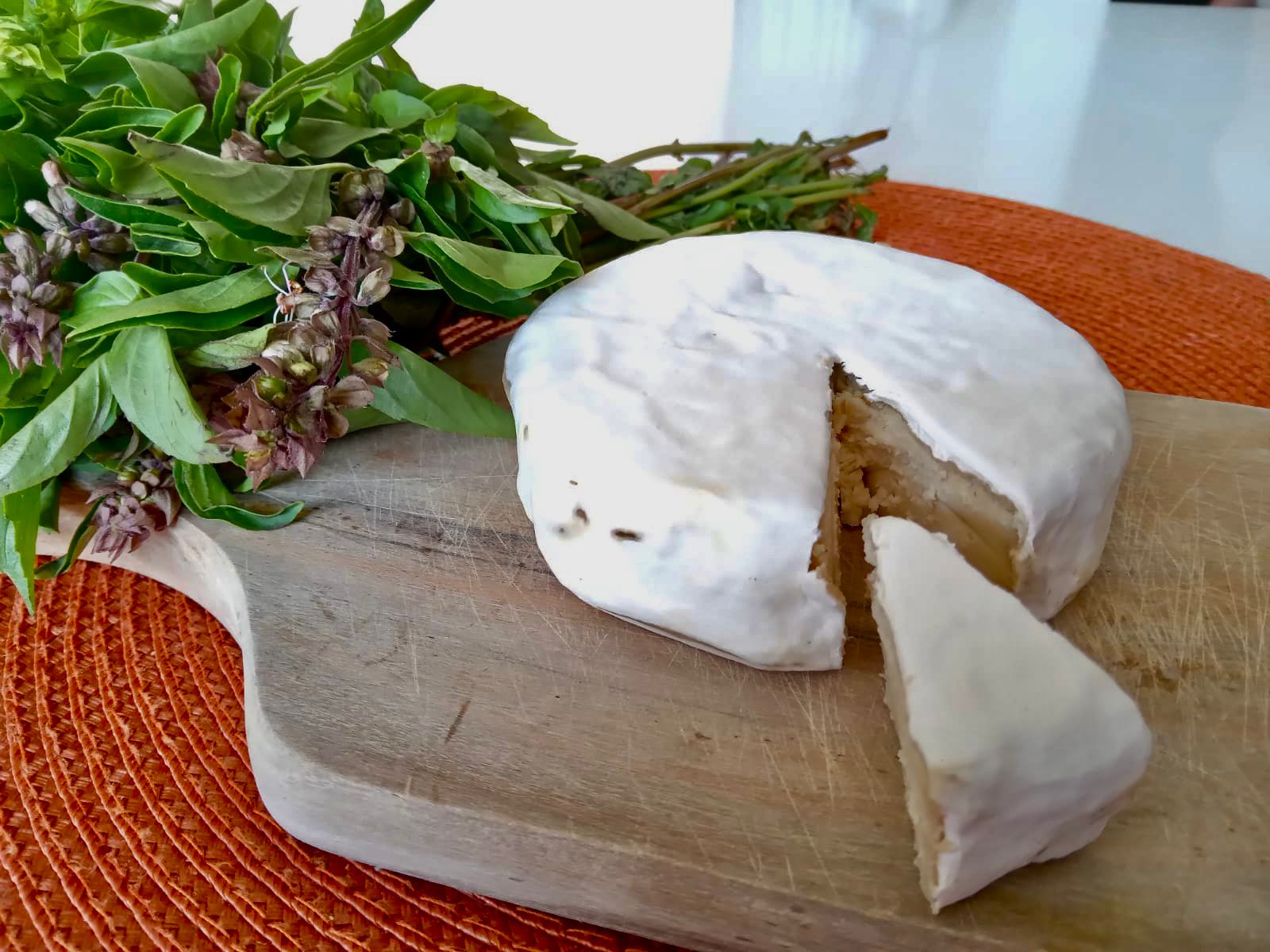 Cuatro alimentos veganos que debes probar ¡YA!