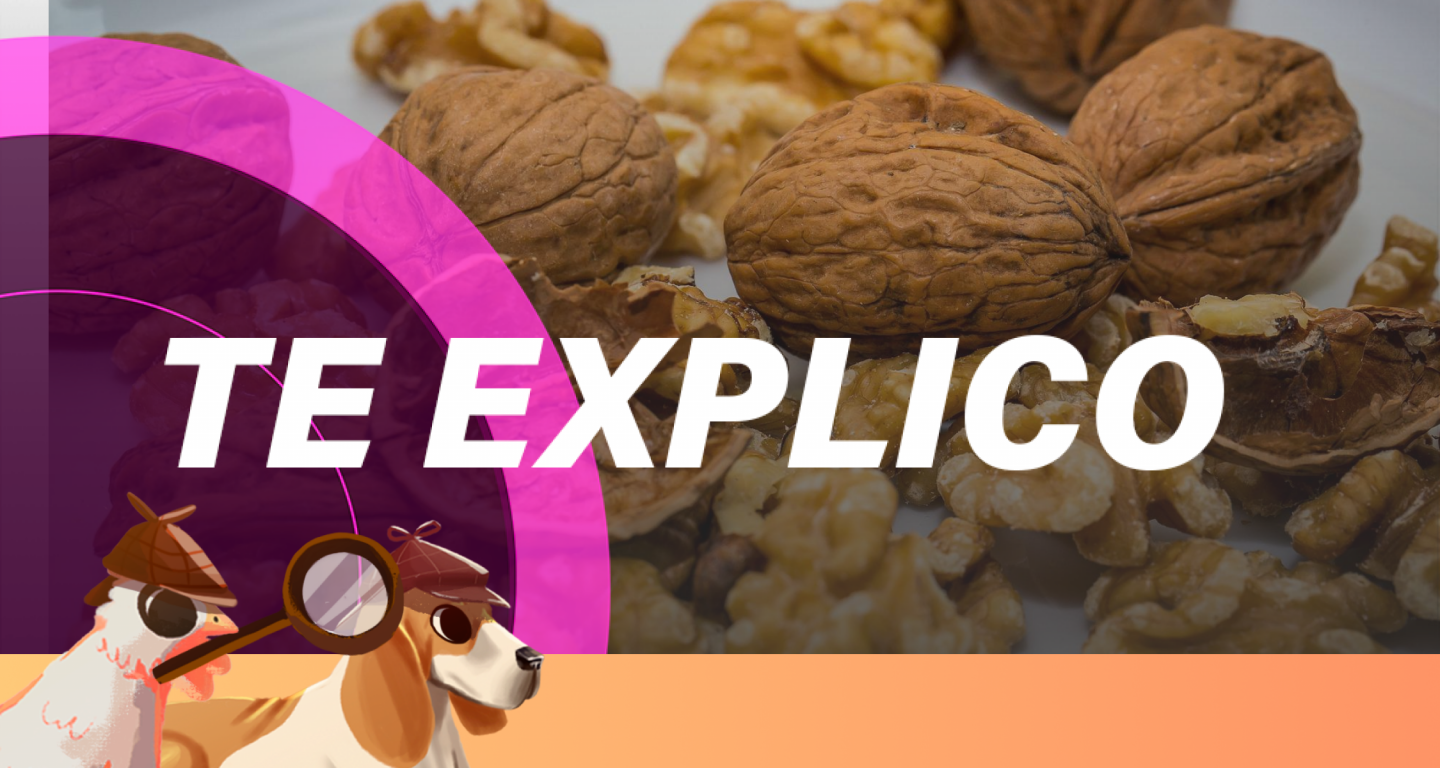 #SabuesoGourmet: cómo activar los frutos secos para obtener más nutrientes