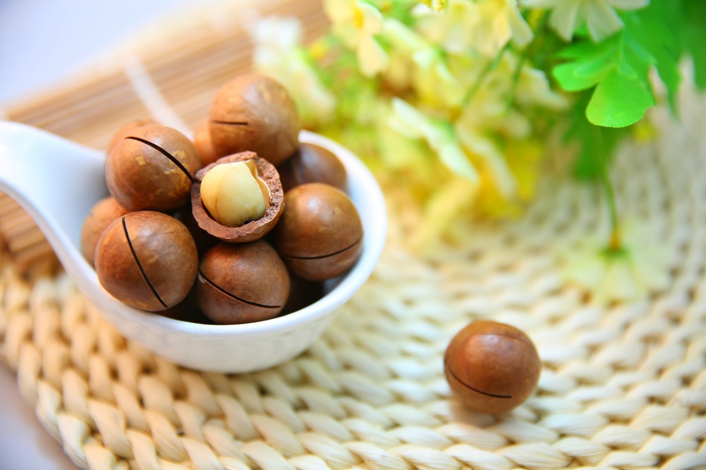 Conoce la nuez de macadamia, sus propiedades y usos en la cocina