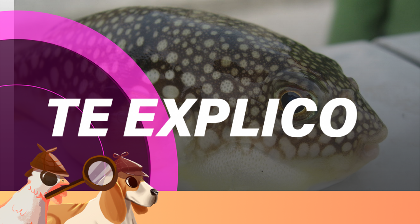 ¡No te lo comas! Alimentos exóticos... y muy peligrosos