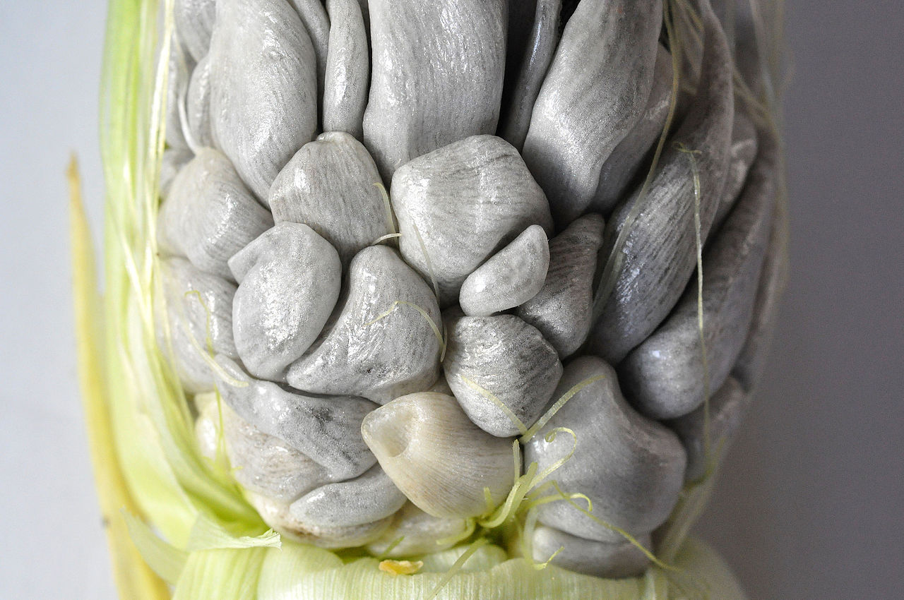 Aprovecha la temporada de huitlacoche con estas tres recetas fáciles