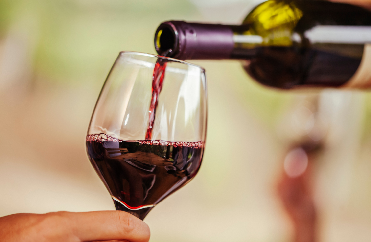 cómo maridar: guía paso a paso