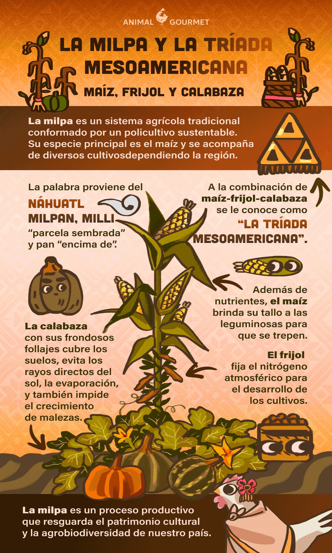 Consejos para hacer tamales