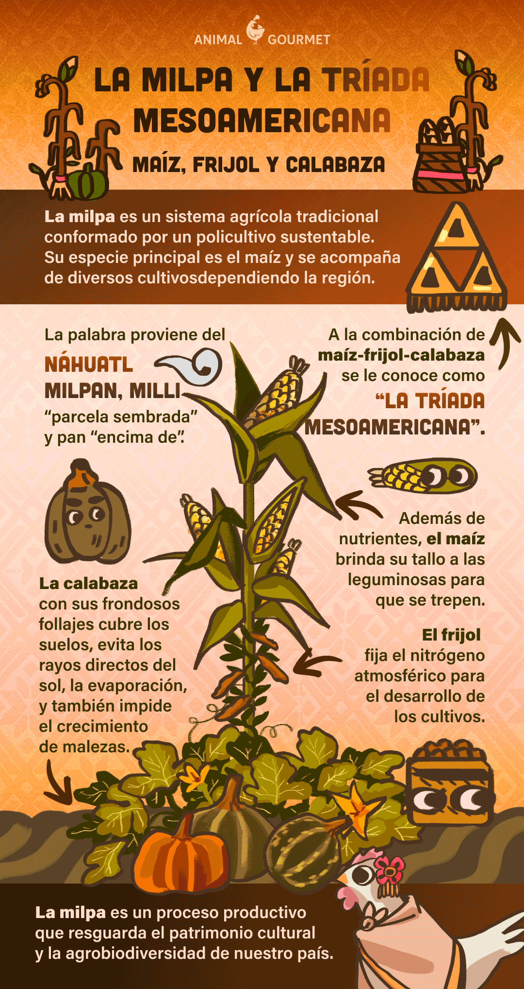 Consejos para hacer tamales