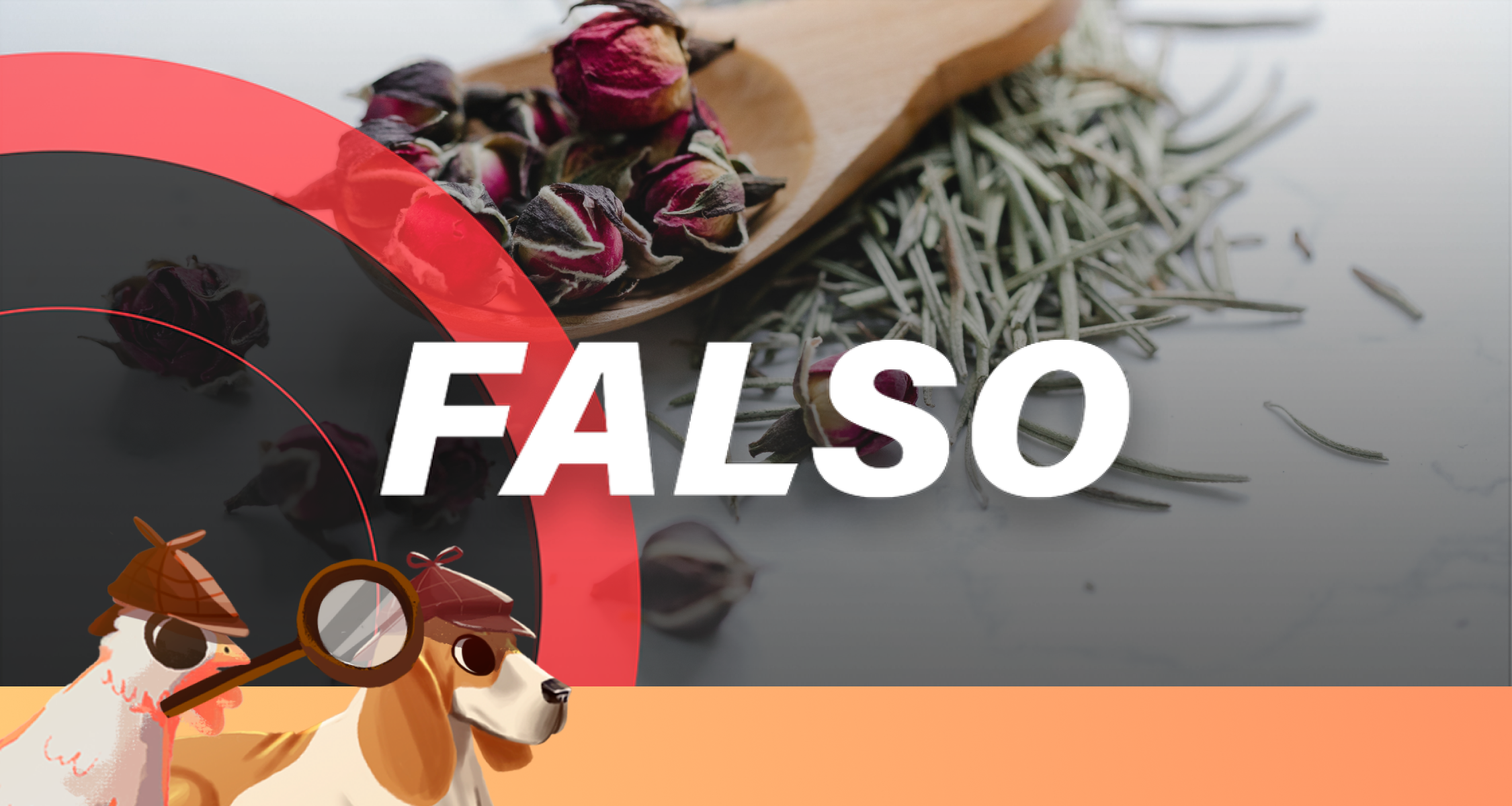 #SabuesoGourmet: No existen remedios caseros para eliminar las piedras en los riñones