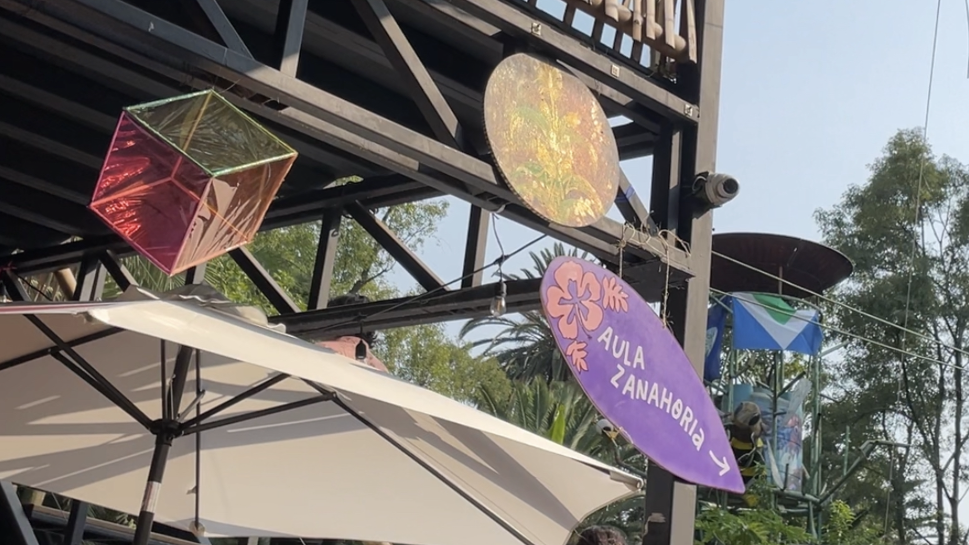 Foto: La Ola Vegana - Katia Ramírez