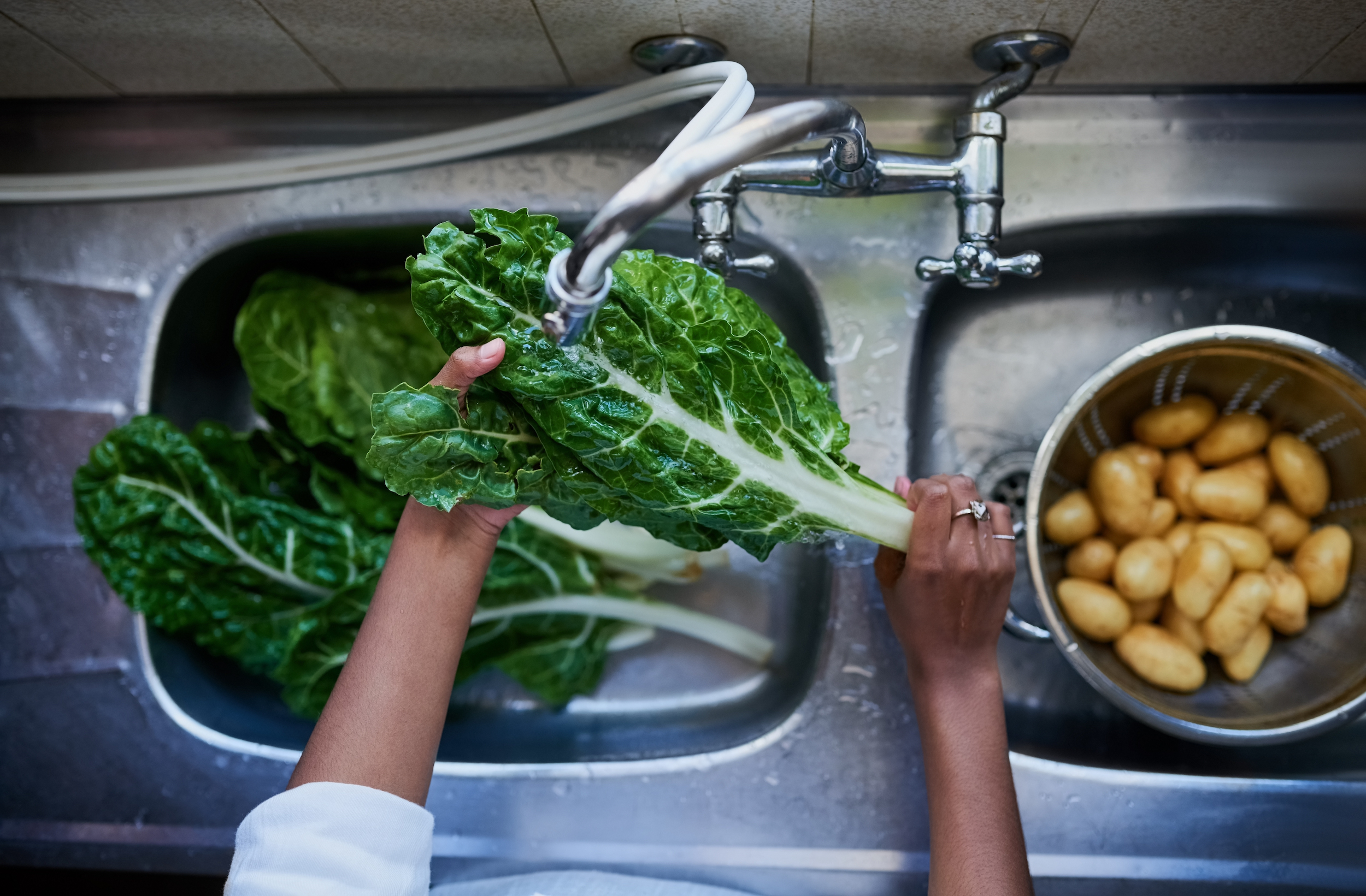 7 de junio, Día Mundial de la Inocuidad de los Alimentos