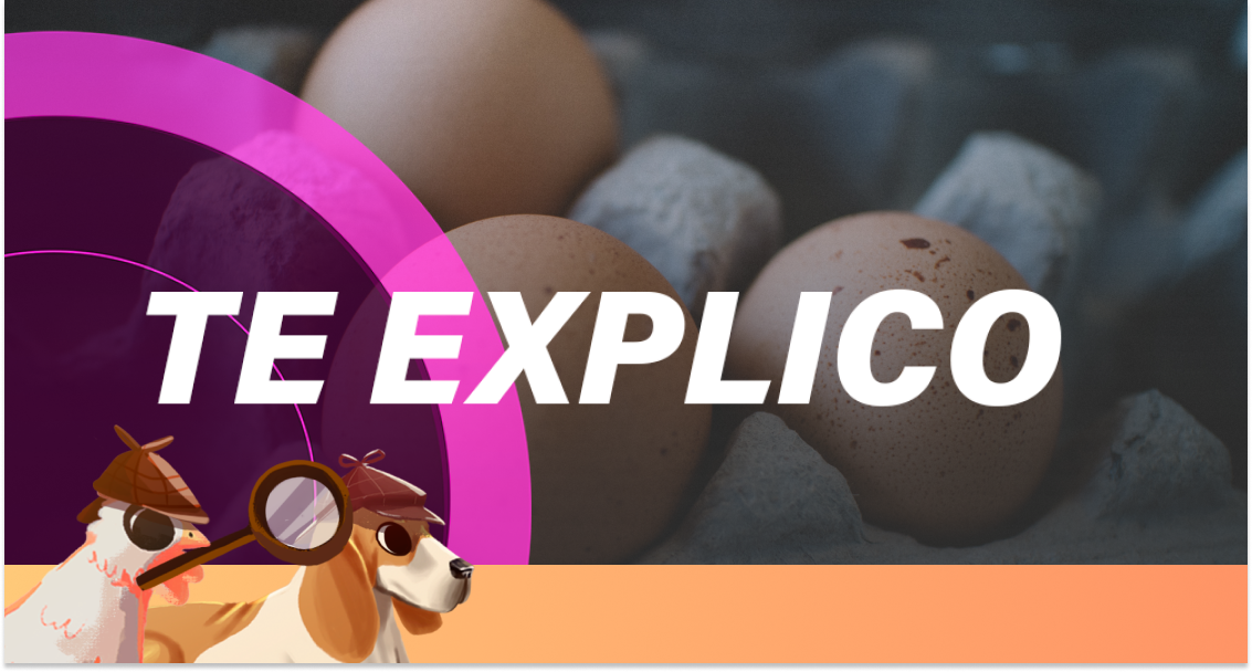 #SabuesoGourmet: Cómo evitar la Salmonella en el huevo ¿Se debe refrigerar o no?