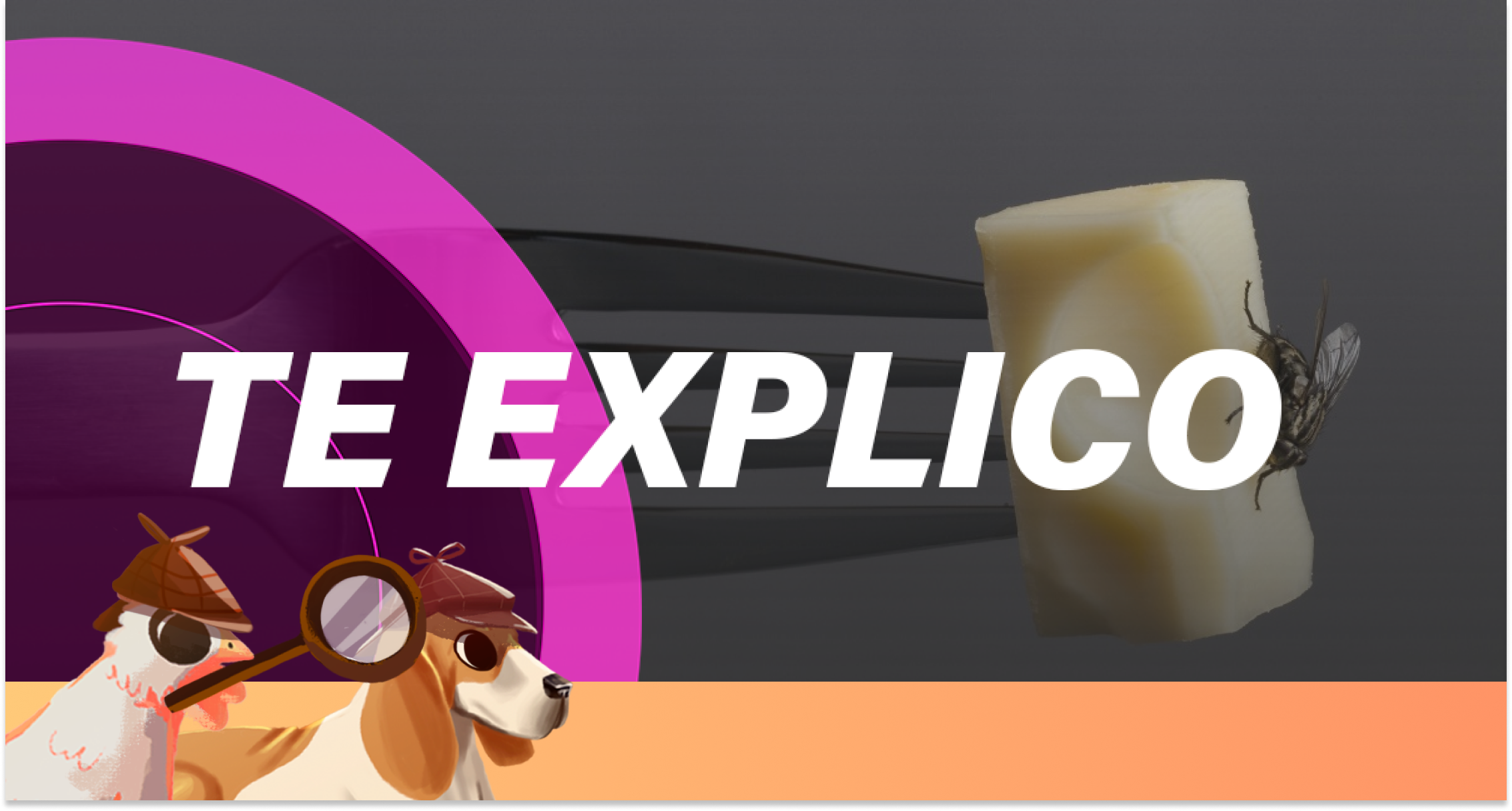 Moscas en la comida_ SabuesoGourmet